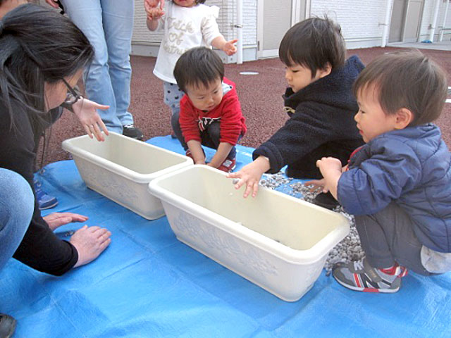 プランターに石を敷くところ